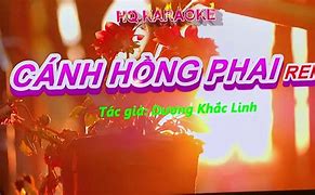 Cánh Hồng Phai Karaoke Có Lời