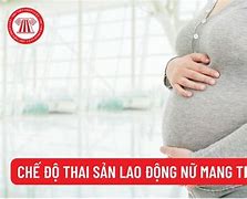 Chế Độ Làm Việc Cho Phụ Nữ Mang Thai