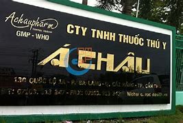 Cty Tnhh At Á Châu