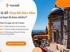 Kiểm Tra Tỷ Lệ Đậu Visa