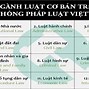 Luật Kinh Tế Neu Học Gì