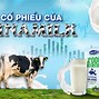 Tại Sao Cổ Phiếu Vnm Giảm Mạnh