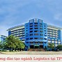 Trường Đào Tạo Logistics Tphcm Tốt Nhất