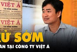 Việt Á Vụ Án